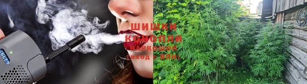 apvp Алзамай