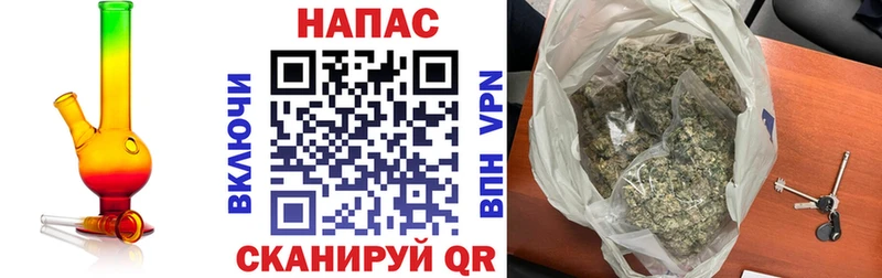 Канабис OG Kush  Купить  Малгобек 
